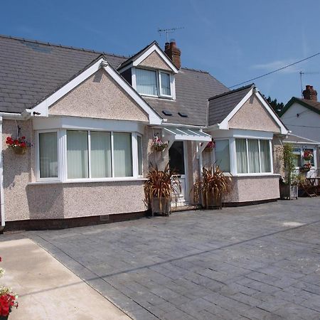 Coed Y Bryn Bed and Breakfast Cardigan Zewnętrze zdjęcie